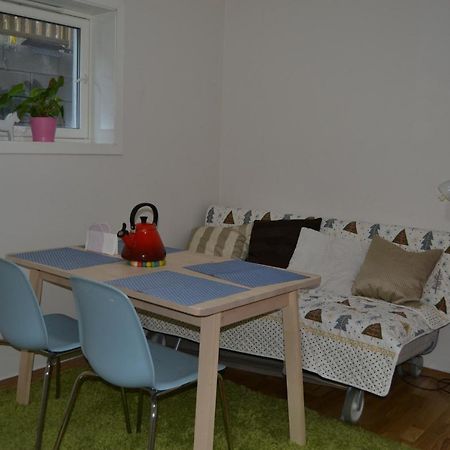 Totally Independent Apartment Near Ntnu,Lerkendal And Center Тронхейм Экстерьер фото